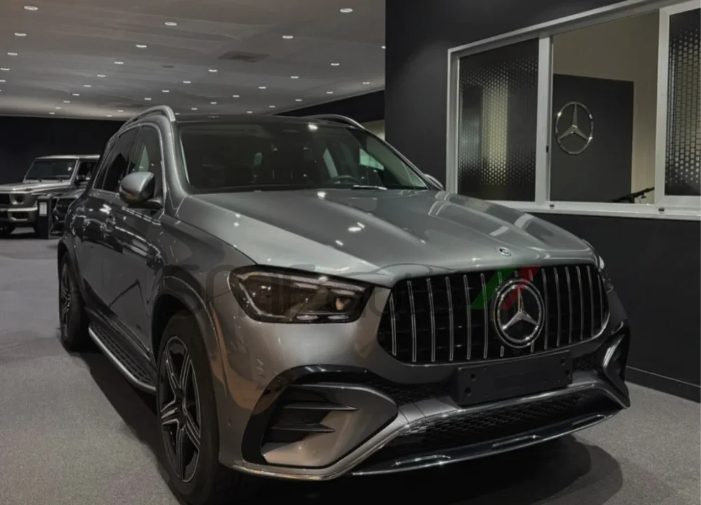 Griglia Panamericana GLE W167 restyling