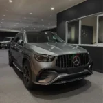 Griglia Panamericana GLE W167 restyling