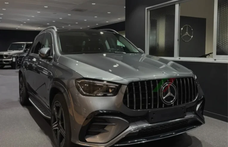 Griglia Panamericana GLE W167 restyling